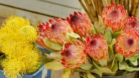 Anchorage/Alaska Flower Wholesale - Cedars Wholesale Floral Imports
