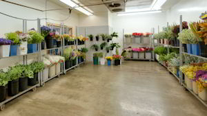 Anchorage Flower Wholesale