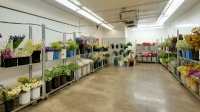 Anchorage/Alaska Flower Wholesale - Cedars Wholesale Floral Imports