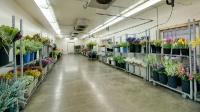 Anchorage/Alaska Flower Wholesale - Cedars Wholesale Floral Imports