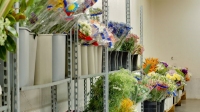 Anchorage/Alaska Flower Wholesale - Cedars Wholesale Floral Imports